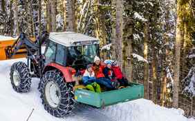 Fahrt durch den Winter-Wald - Foto: Bethel Fath